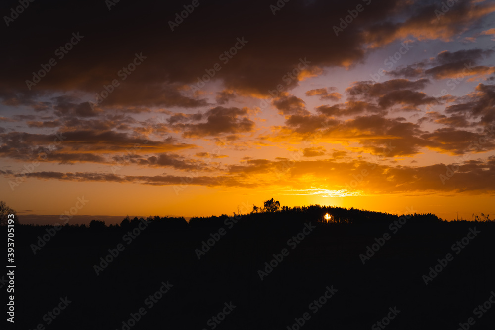 sunset over the field