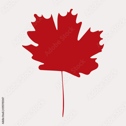 Maple leaf vector icon. Maple leaf vector illustration on white background. Canada vector symbol maple leaf clip art. Red maple leaf.