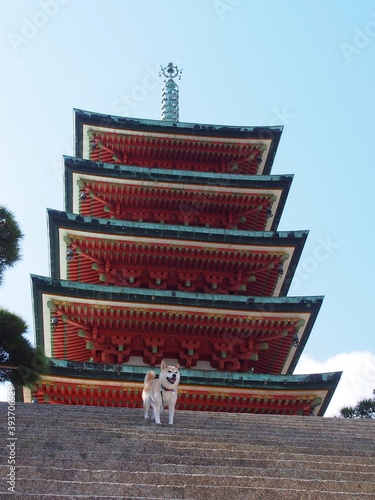 生口島　耕三寺の五重塔と柴犬
