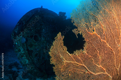 Underwater shipwreck in a tropical ocean
