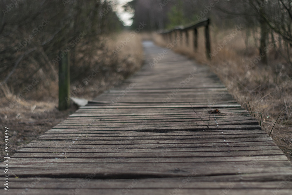 Pietzmoor in Schneverdingen