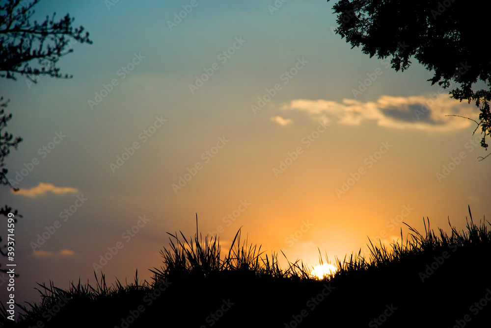 Summer sunrise on a background of grass meadow and sky