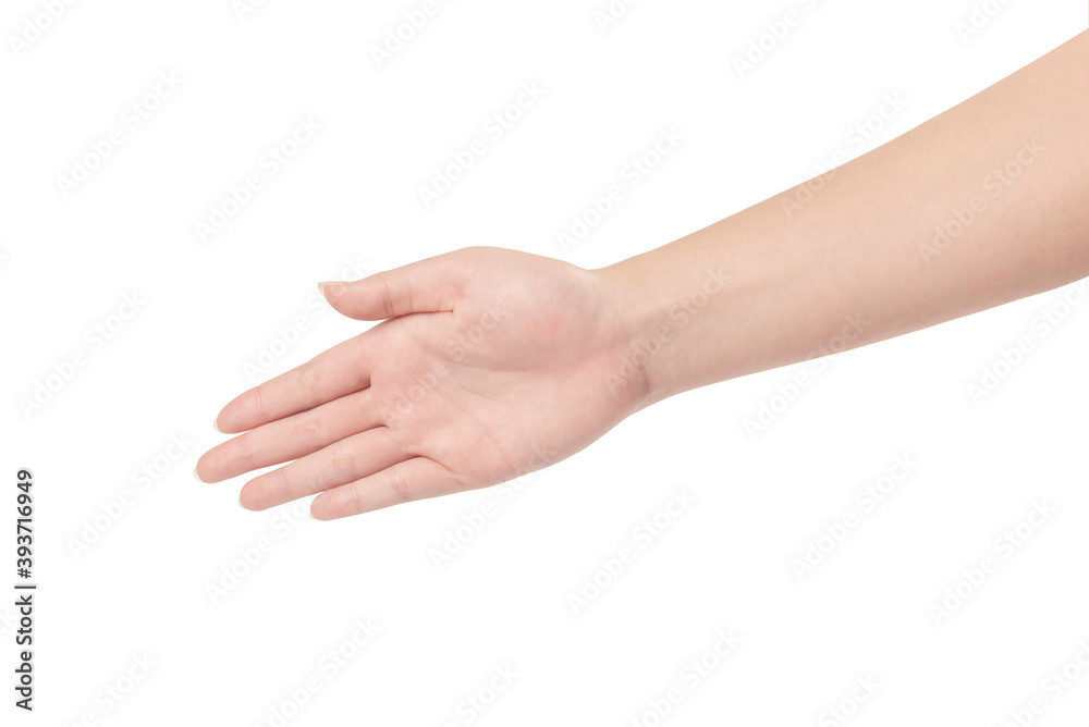 Hands of the young female on white background.