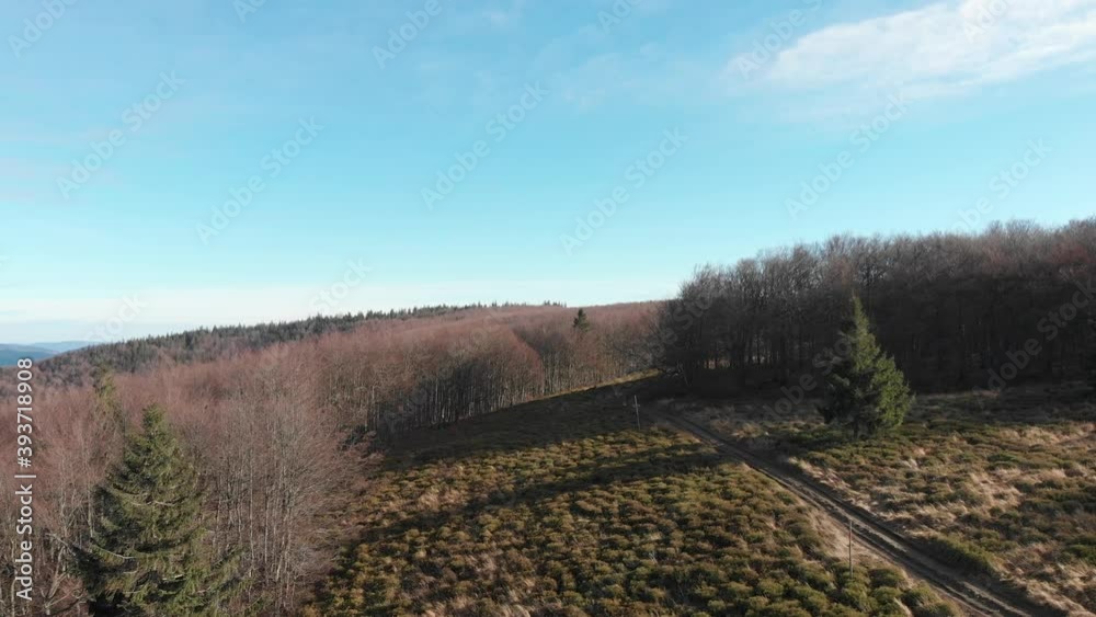 Bilberry fields in Beskid Sadecki Mountains in late autumn Bilberry fields in Beskid Sadecki Mountains in late autumn
