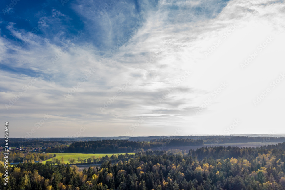 Fototapeta premium Autumn forest landscape with trees, aerial bird-eye view