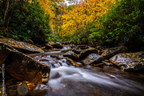 Fototapeta Naklejka Na Ścianę i Meble -  autumn forest stream