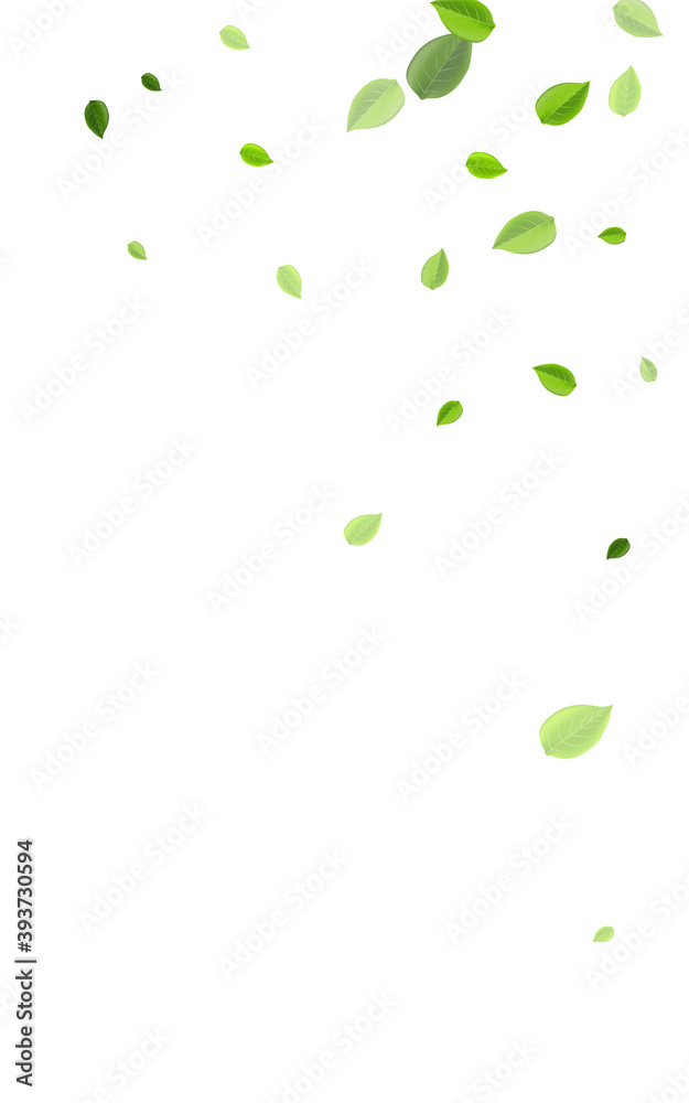 Mint Greens Tea Vector Template. Wind Leaf 