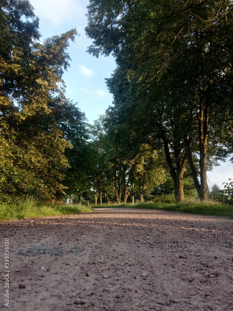 Obraz premium Piękna droga na wiosce