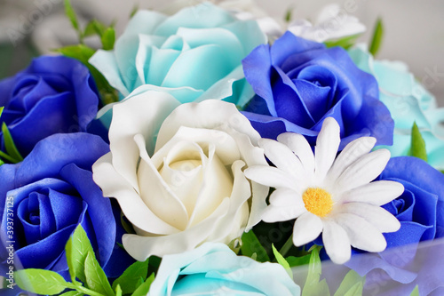 white and blue flowers