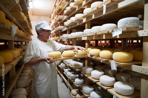 Schilderij op canvas Cheese maker at the storage with shelves full of cow and goat cheese