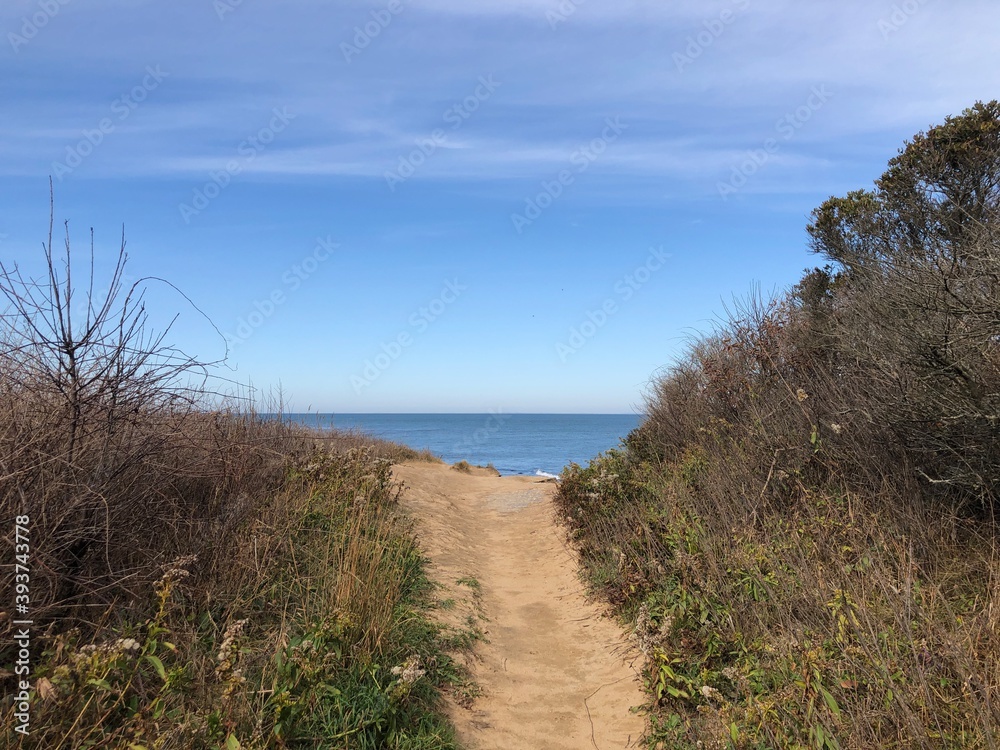 pathway to the ocean