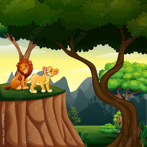 Forest scene with lions on the cliff illustration