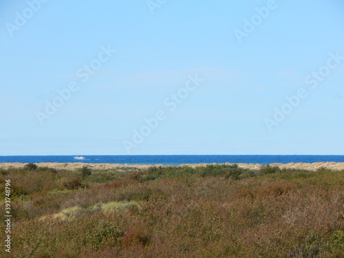 dunes and sea