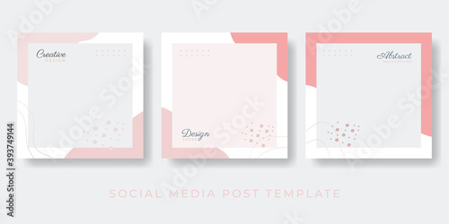 Social media stories and post creative Vector set. Background template with copy space for text and images design by abstract colored shapes, line arts , Tropical leaves warm color of the earth tone