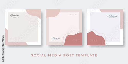 Social media stories and post creative Vector set. Background template with copy space for text and images design by abstract colored shapes, line arts , Tropical leaves warm color of the earth tone