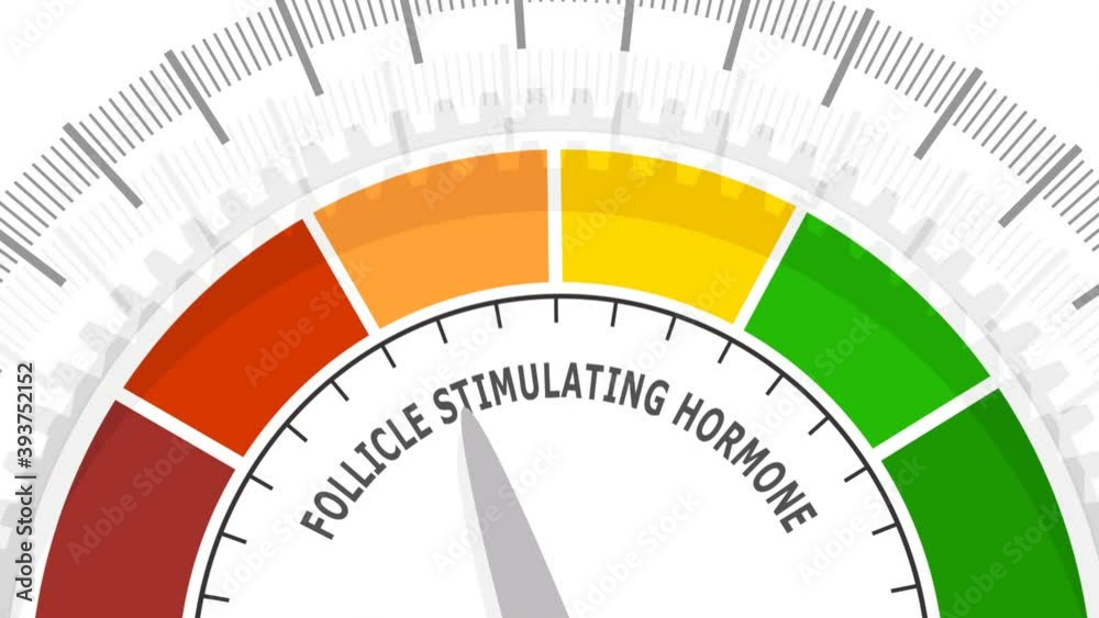 Gradient scale. Follicle stimulating hormone level measuring device icon. Sign tachometer, speedometer, indicators. Infographic gauge element. 3D rendering. Gradient scale. Follicle stimulating hormone level measuring device icon. Sign tachometer, speedometer, indicators. Infographic gauge element. 3D rendering.