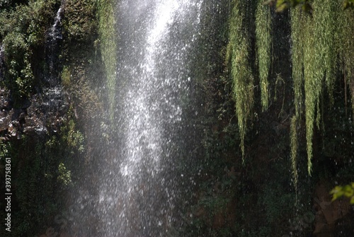 Photos taken in Walter Sisulu Botanical Gardens