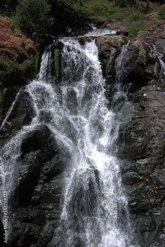 Photos taken in Walter Sisulu Botanical Gardens