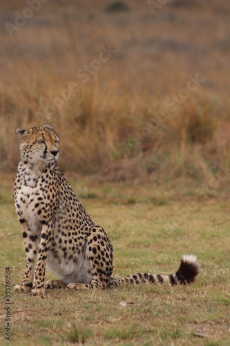 Photos taken in Rhino and Lion Nature Reserve, Krugersdorp.