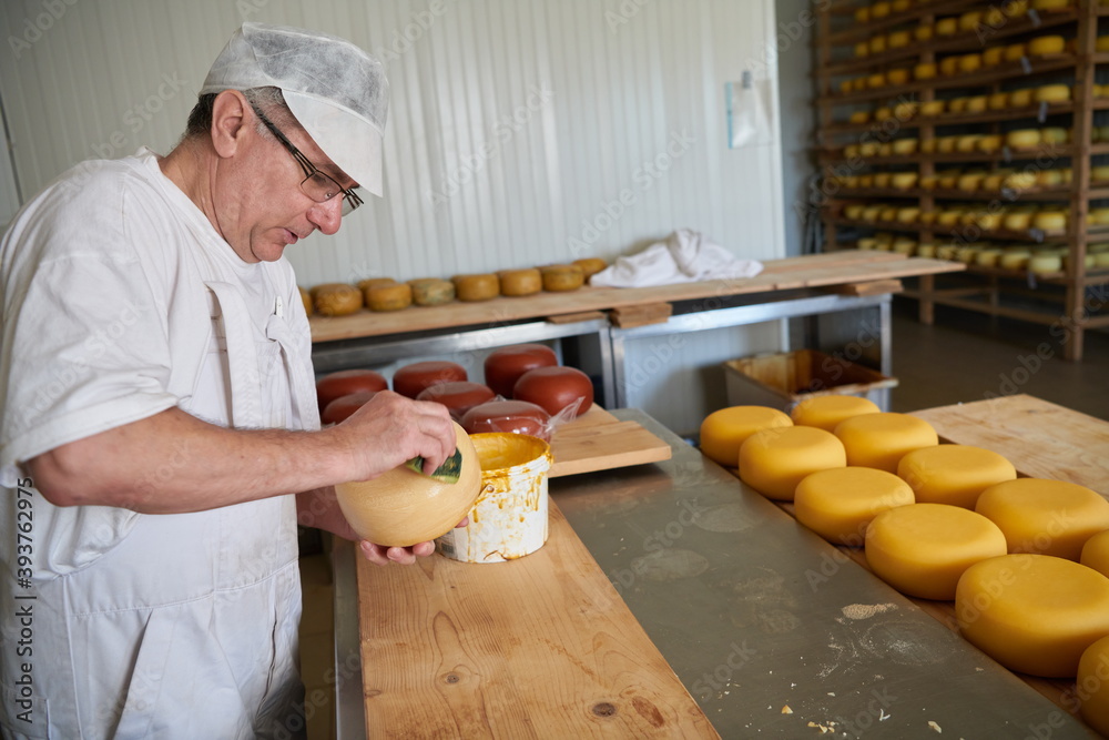 Cheese maker at local production factory Cheese maker at local production factory