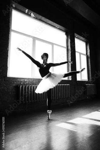 Ballerina in a tutu dress practicing ballet in a ballet studio. © Myshkovskyi