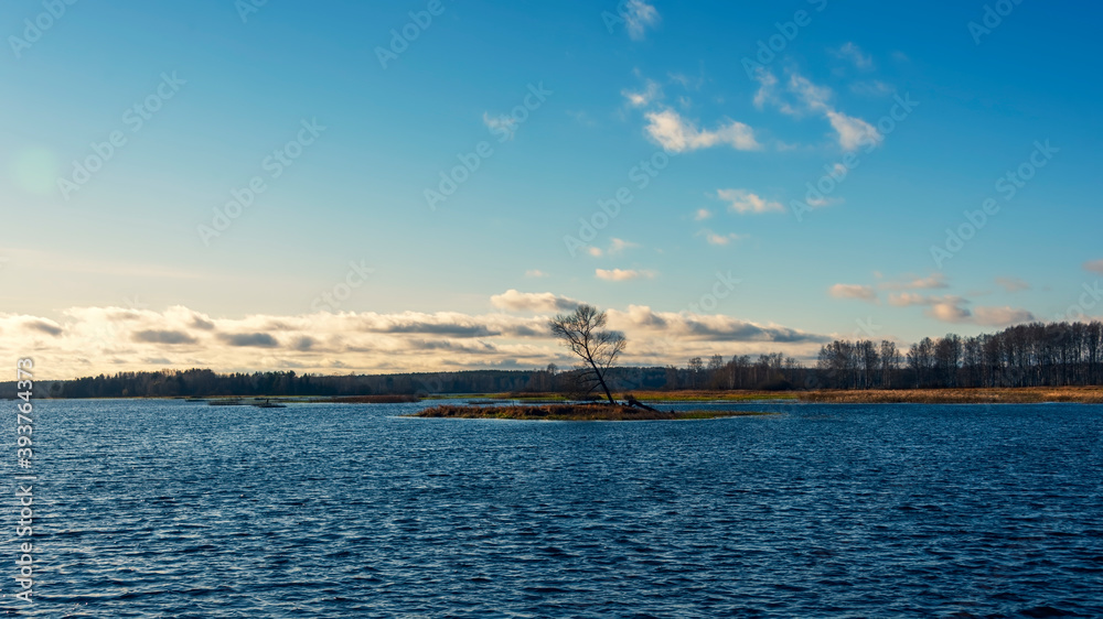 An island on a river or lake with a lone tree without leaves. Calming autumn landscape.