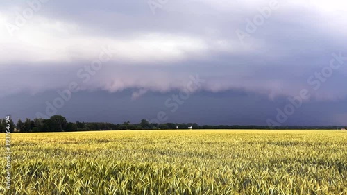 Getreidefeld bei einem heranziehenden Unwetter