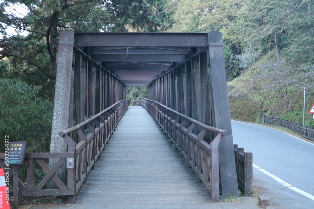 Obraz premium bridge over the river