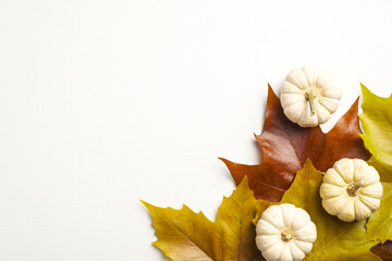 Autumn flat lay composition with pumpkins and colorful maple leaves on white background. Autumn fall, Thanksgiving concept.