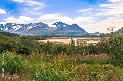 Chugach mountain range and wild flowers near shallow water stream in Alaskan summer season