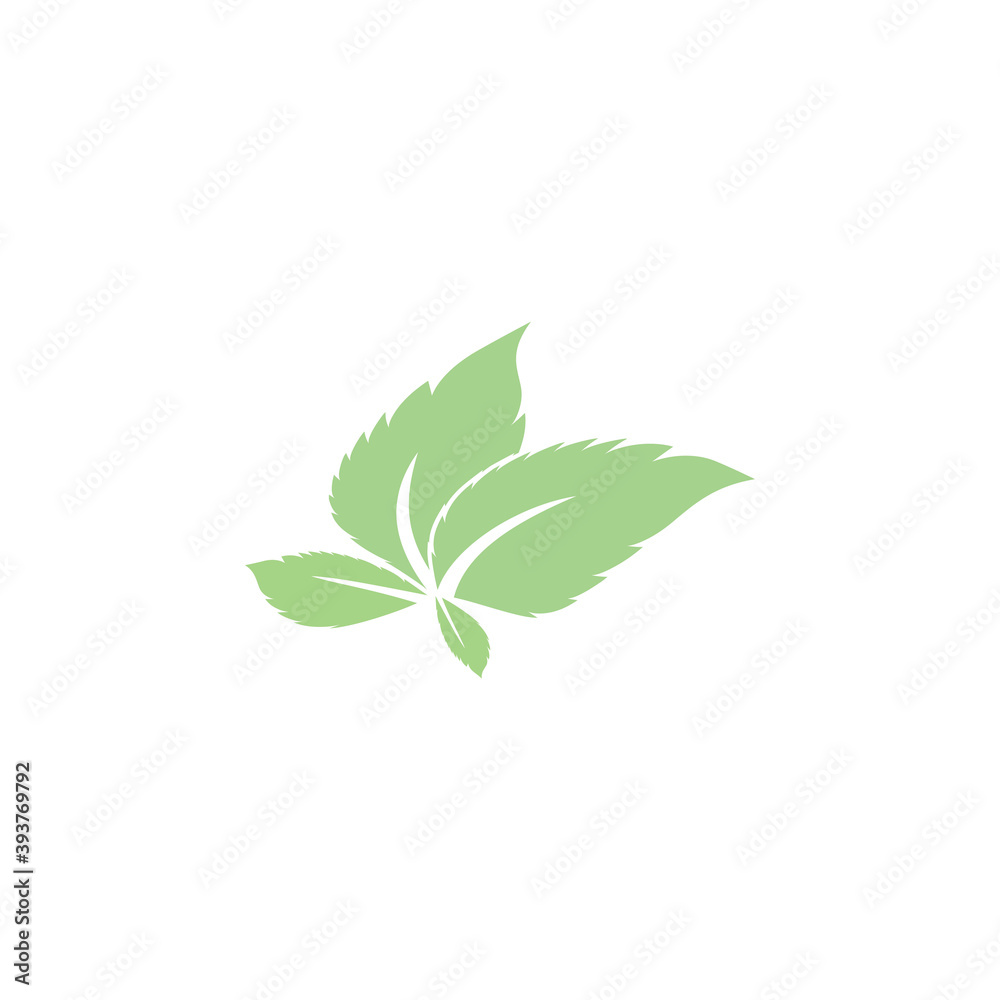 Fototapeta premium Leaf Mint Logo Template vector symbol