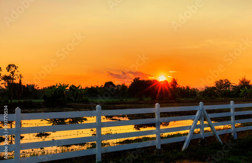 View of sunset sky at rice field with foreground of white fence