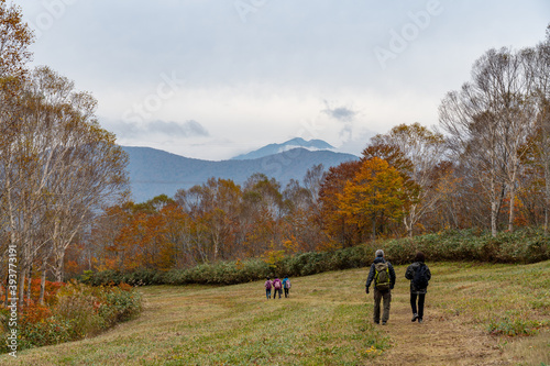 Tashiro Ski Resort in autumn foliage season. Naeba, Yuzawa, Niigata Prefecture, Japan
