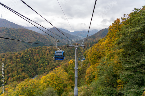 View of mountains and valleys from the Dragondola (Naeba-Tashiro Gondola) in autumn foliage season. Longest aerial gondola lift line in Japan. Naeba, Yuzawa, Niigata Prefecture, Japan.