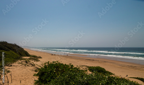 Vegetation Growing on the Dunes of a Sparsely Populated Beach