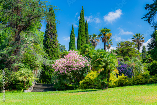 City park with tropical trees, lawn with grass, cypress trees