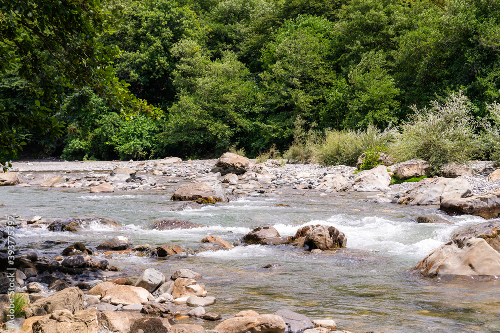 Mountain river flowing at summer forest landscape