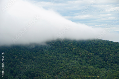 low white clouds lie on the green hills, forest and jungle of Northern Thailand