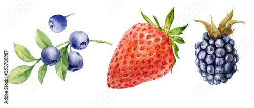 Watercolor illustration. A set of watercolored blueberries, strawberries, blackberries on an isolated background.