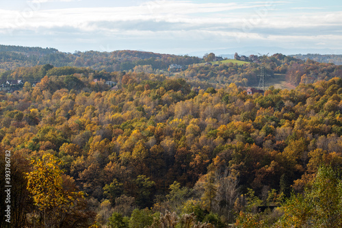 Trees with golden autumn foliage in sunny day. Colorful autumn landscape.