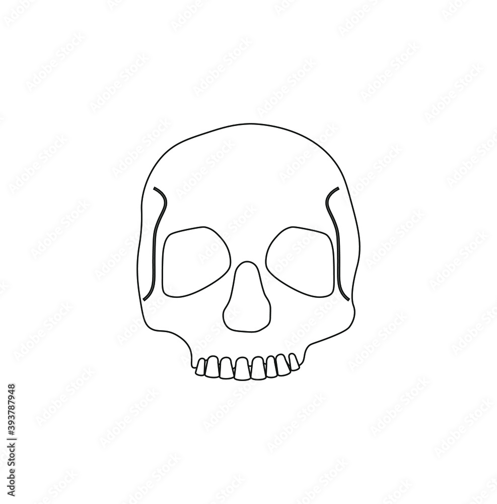 human skull on white background human skull on white background