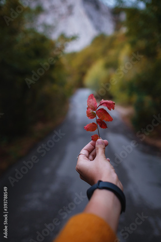 Female Hand holding a red leaf in the middle of a road