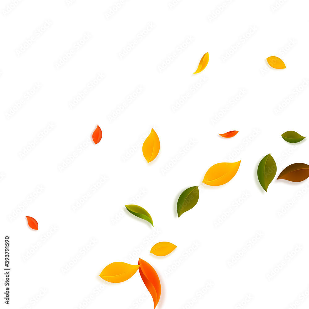 Falling autumn leaves. Red, yellow, green, brown c Falling autumn leaves. Red, yellow, green, brown c