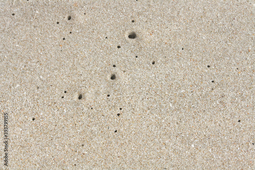 Photography Worm holes in sand beach. Coastal porosity