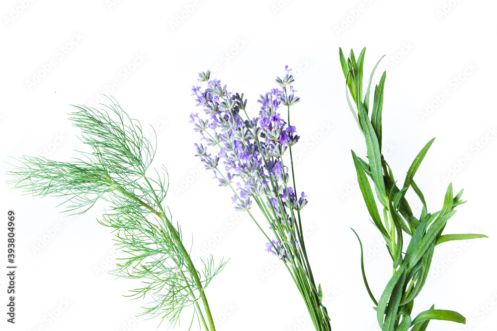 Fototapeta premium Three types of aromatic herbs looking like aerial flowers