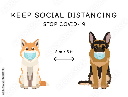 Coronavirus infection spreading prevention information sign with pets wearing protective face masks. Akita dog and german shepherd. Inscription Keep social distancing. Stop covid-19