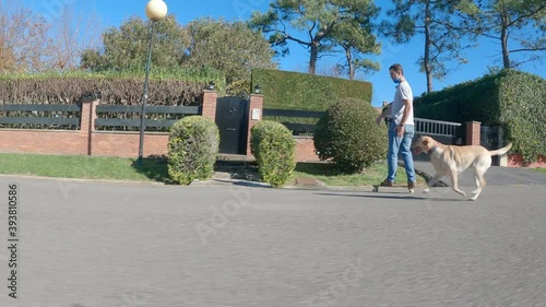 Labrador retriever breed dog runs behind his owner who is skating through the urbanization on a sunny morning