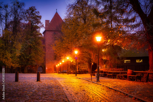 Autumnal alley by the Malbork castle at dawn, Poland