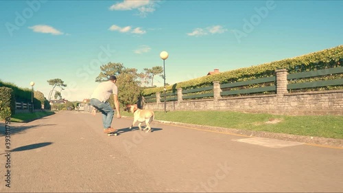 Labrador retriever breed dog runs behind his owner who is skating through the urbanization on a sunny morning