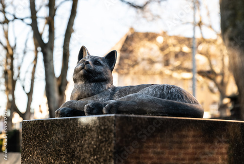 die Katze bewacht das Grab photo